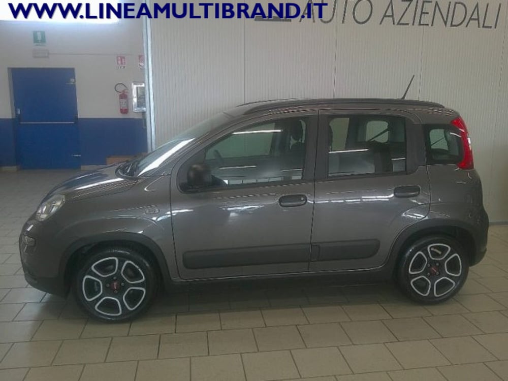 Fiat Panda usata a Piacenza (11)