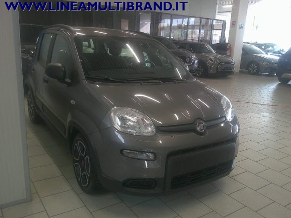 Fiat Panda usata a Piacenza (13)