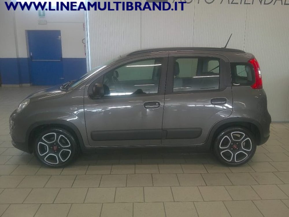 Fiat Panda usata a Piacenza (14)