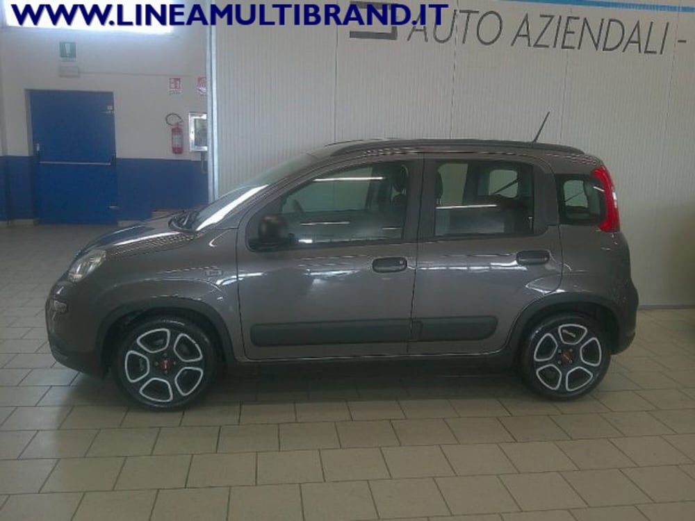 Fiat Panda usata a Piacenza (5)