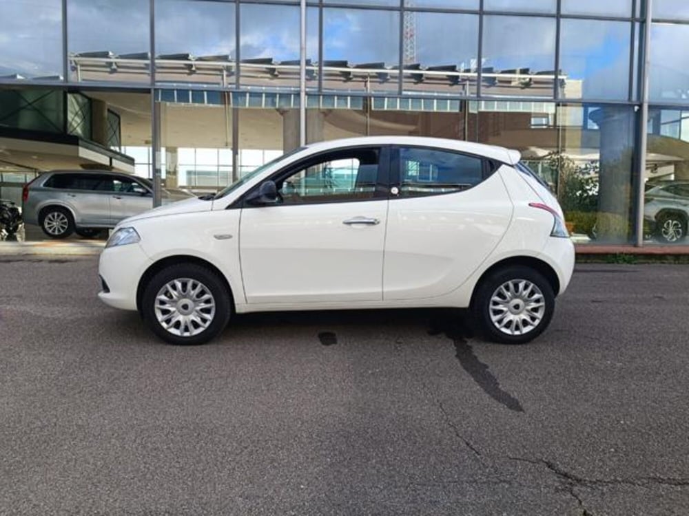 Lancia Ypsilon usata a Pisa (14)