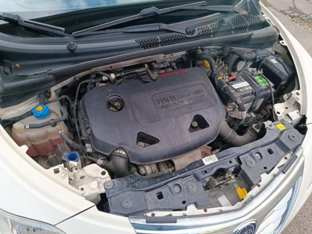 Lancia Ypsilon usata a Pisa (2)