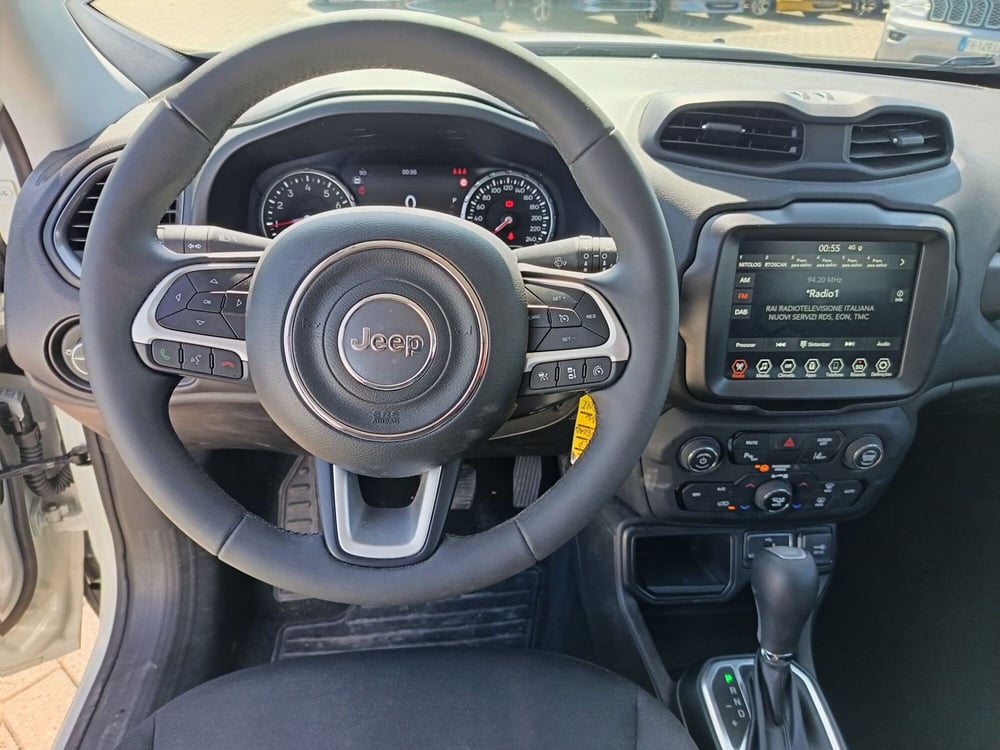 Jeep Renegade usata a Alessandria (18)