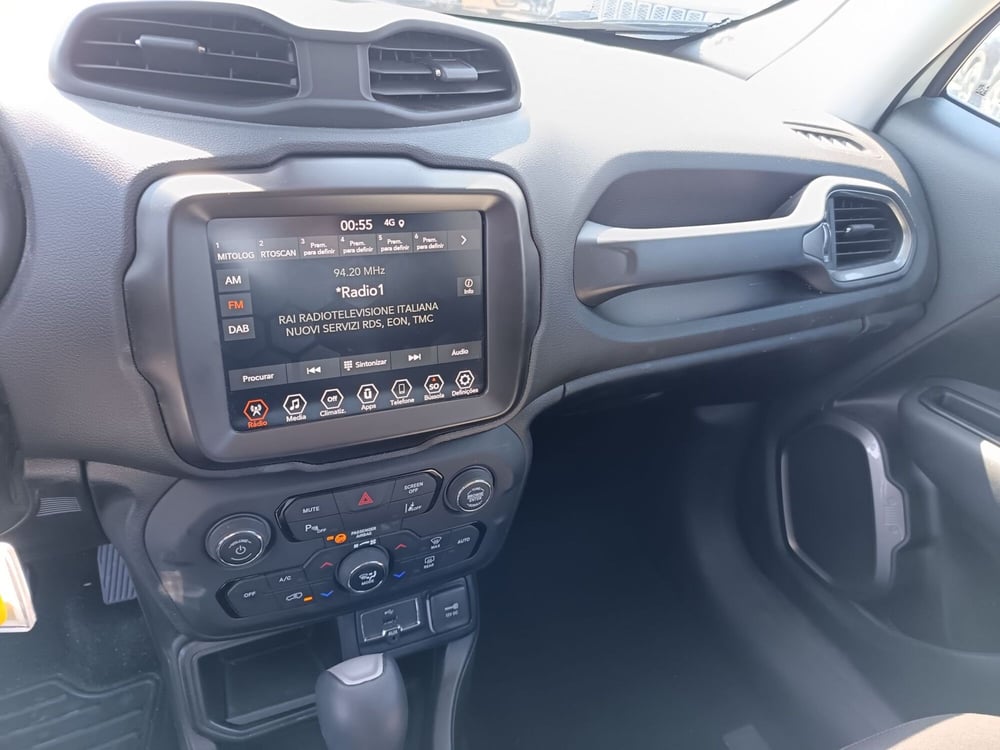 Jeep Renegade usata a Alessandria (19)