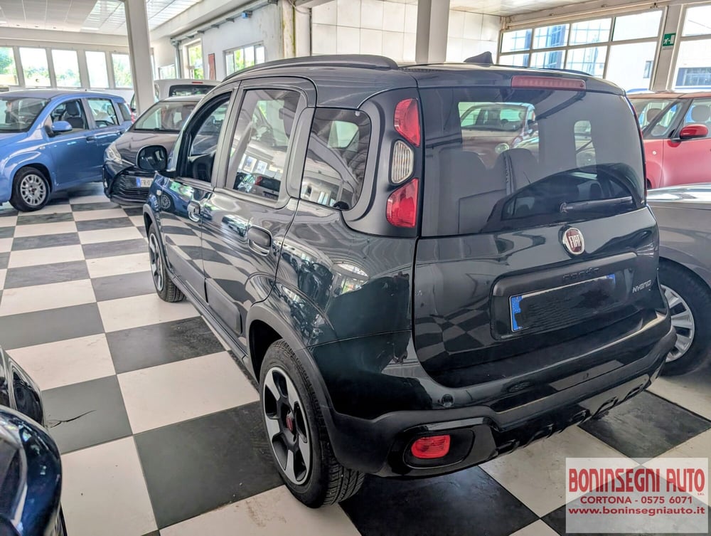 Fiat Panda Cross usata a Arezzo (4)