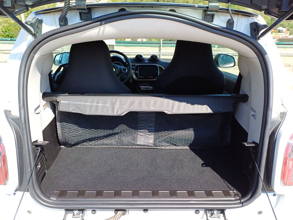 smart Fortwo usata  (11)