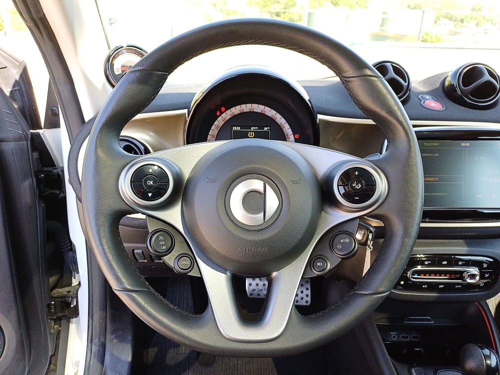 smart Fortwo usata  (14)