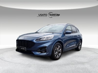 Ford Kuga 1.5 EcoBlue 120 CV 2WD ST-Line del 2023 usata a Sinalunga