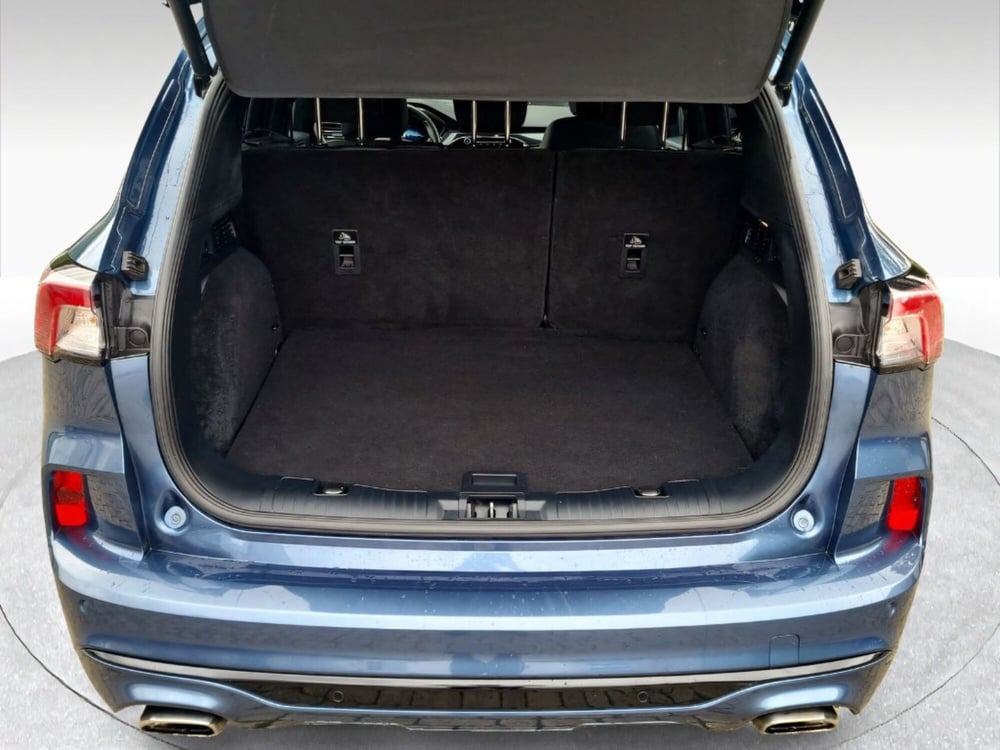 Ford Kuga usata a Siena (16)