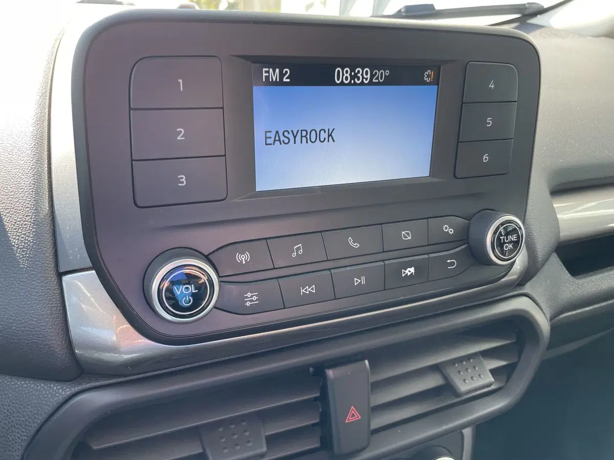 Ford EcoSport usata a Vicenza (14)