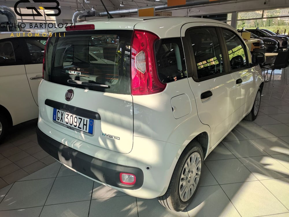 Fiat Panda Cross usata a Prato (13)