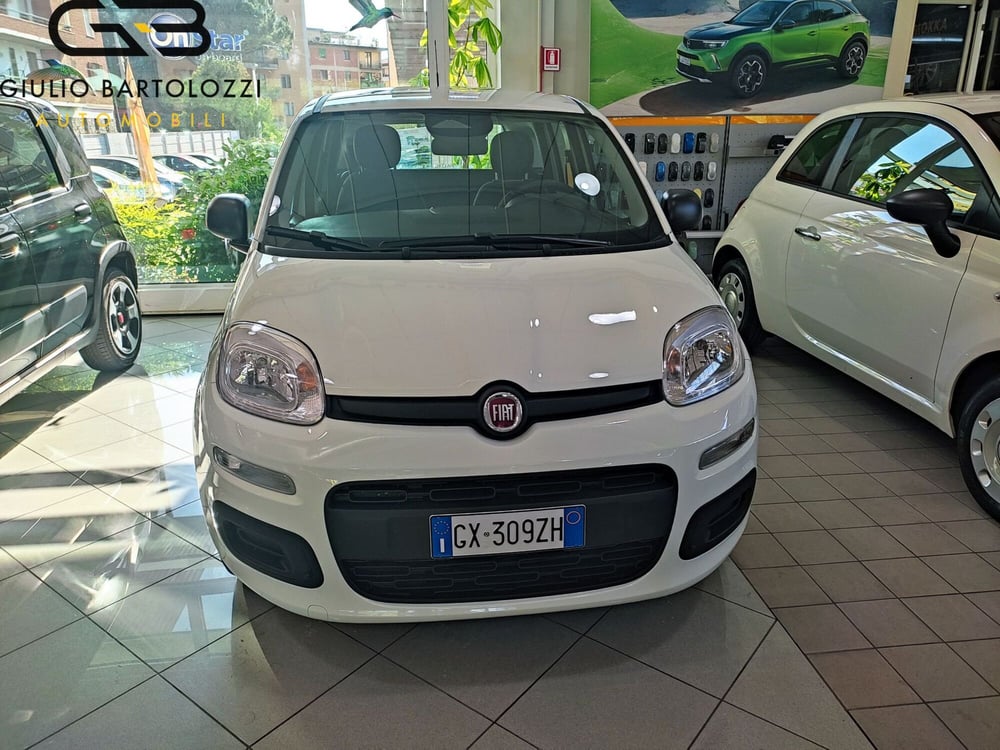 Fiat Panda Cross usata a Prato (2)