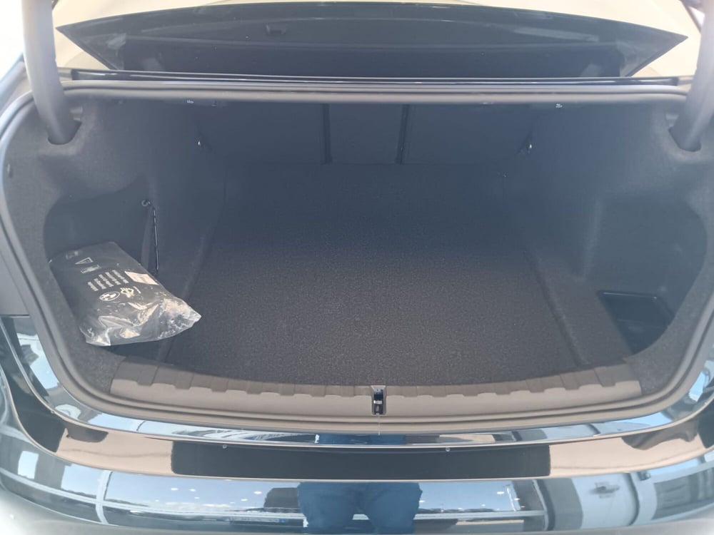 BMW Serie 3 usata a Asti (10)