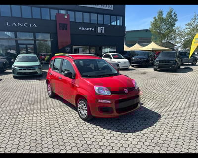 Fiat Panda 1.2 Lounge del 2020 usata a Massarosa