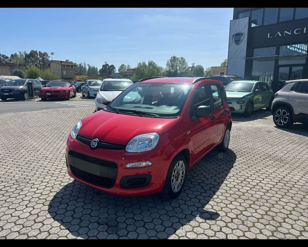 Fiat Panda usata a Lucca (3)