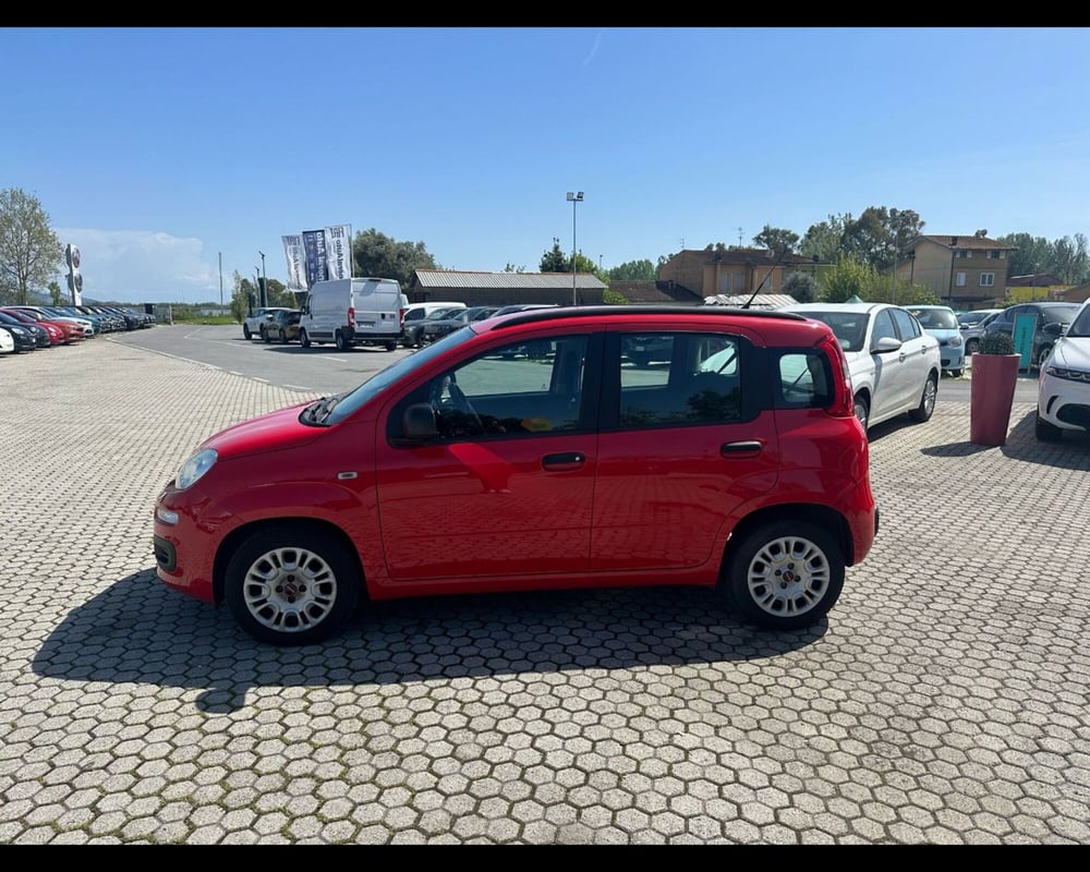Fiat Panda usata a Lucca (4)