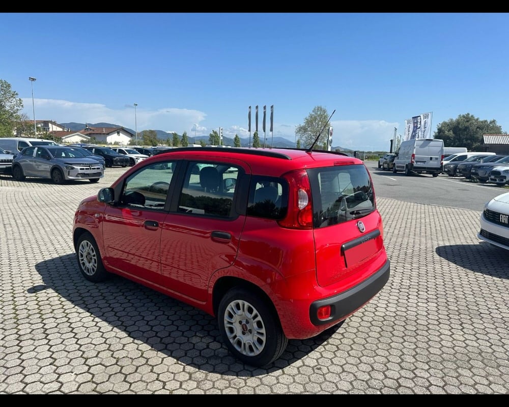 Fiat Panda usata a Lucca (5)