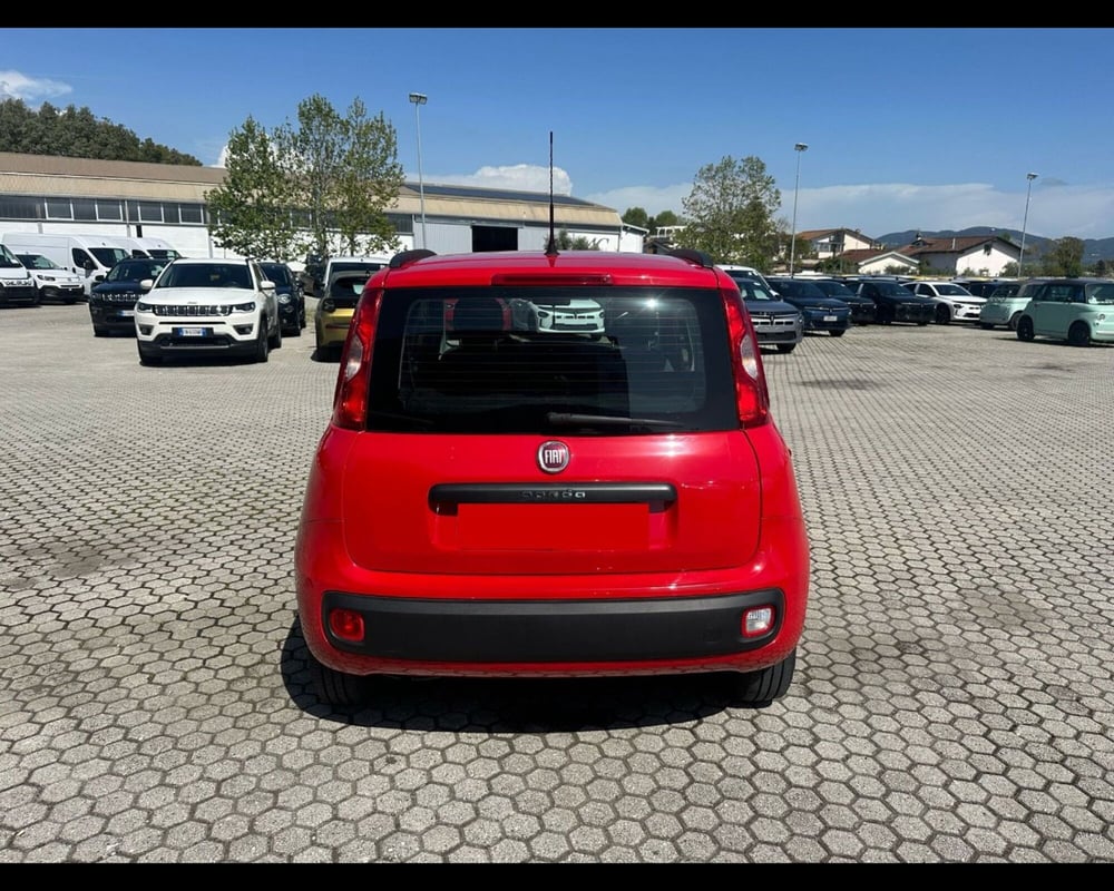 Fiat Panda usata a Lucca (6)