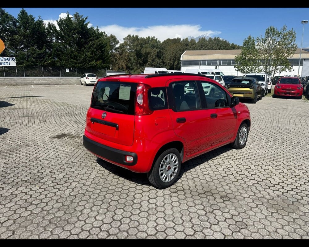 Fiat Panda usata a Lucca (8)