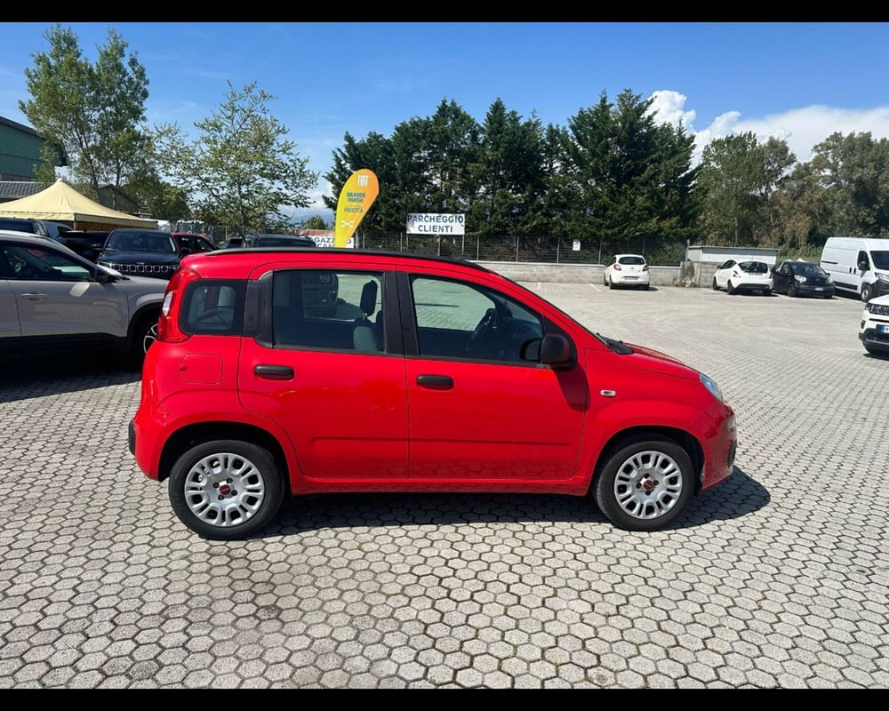 Fiat Panda usata a Lucca (9)