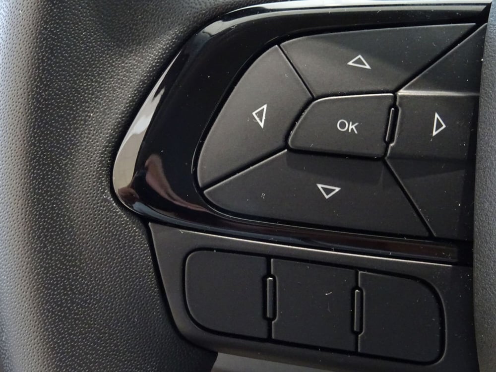 Fiat Panda Cross nuova a Venezia (12)