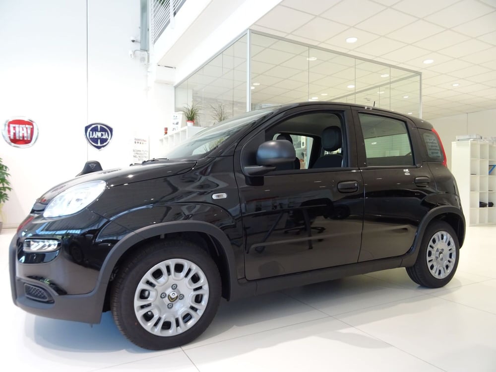 Fiat Panda Cross nuova a Venezia (2)