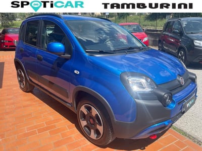 Fiat Panda Cross Cross 1.0 FireFly S&amp;S Hybrid del 2024 usata a Cortona