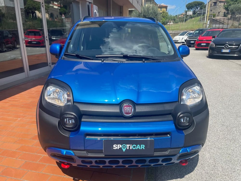 Fiat Panda Cross usata a Arezzo (2)
