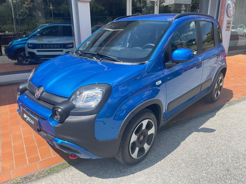 Fiat Panda Cross usata a Arezzo (3)