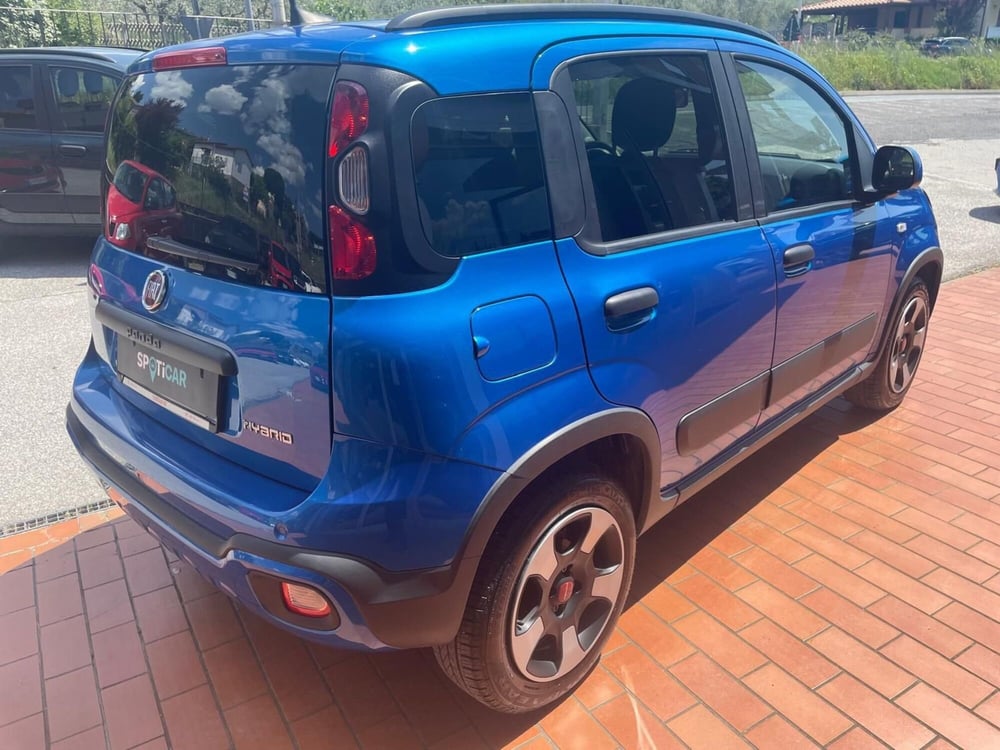 Fiat Panda Cross usata a Arezzo (6)