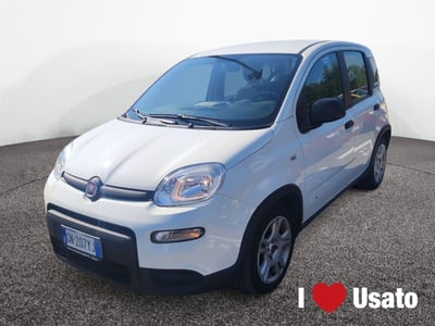 Fiat Panda 1.0 firefly hybrid s&amp;s 70cv 5p.ti del 2023 usata a Roma