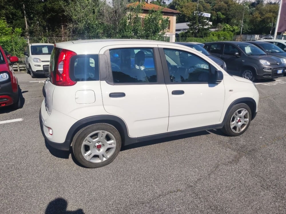 Fiat Panda usata a Roma (6)