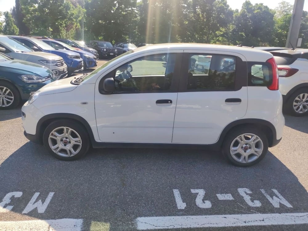 Fiat Panda usata a Roma (8)