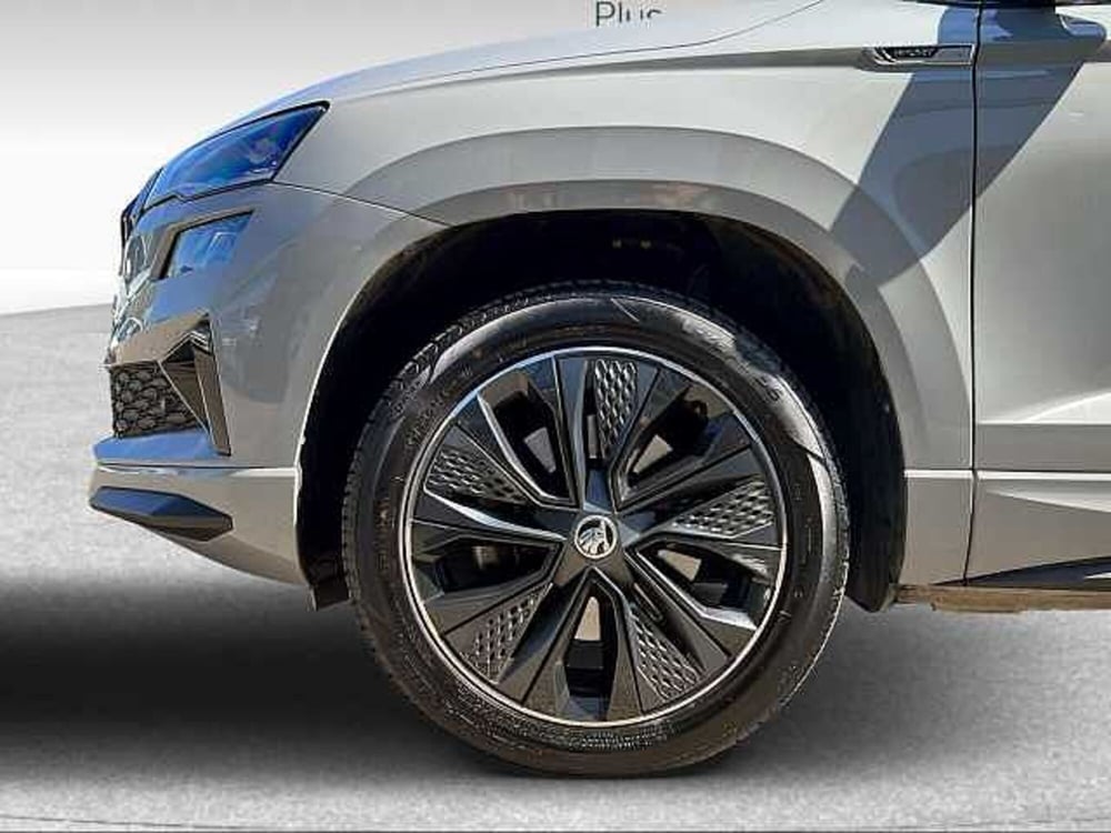 Skoda Karoq usata a Grosseto (15)