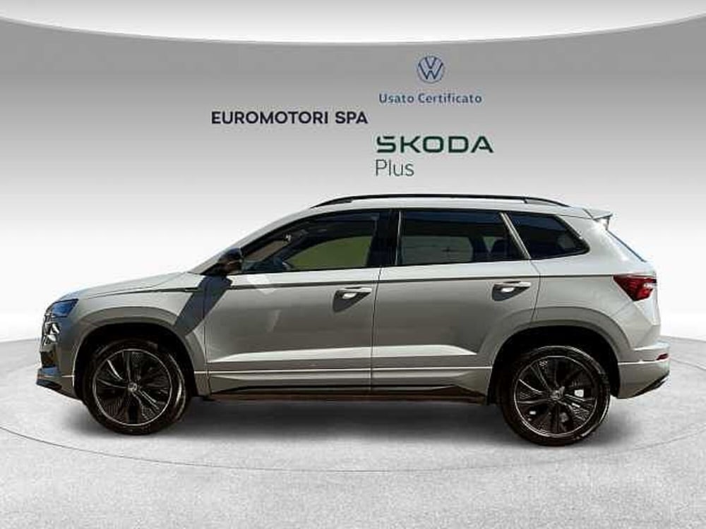 Skoda Karoq usata a Grosseto (2)