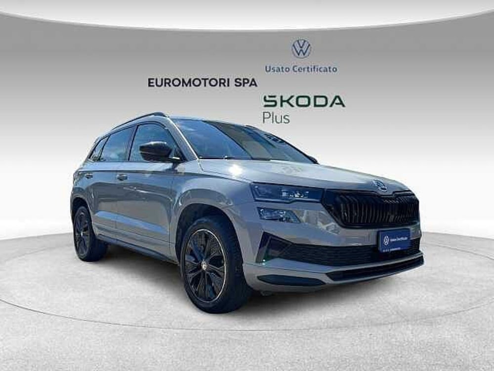 Skoda Karoq usata a Grosseto (6)
