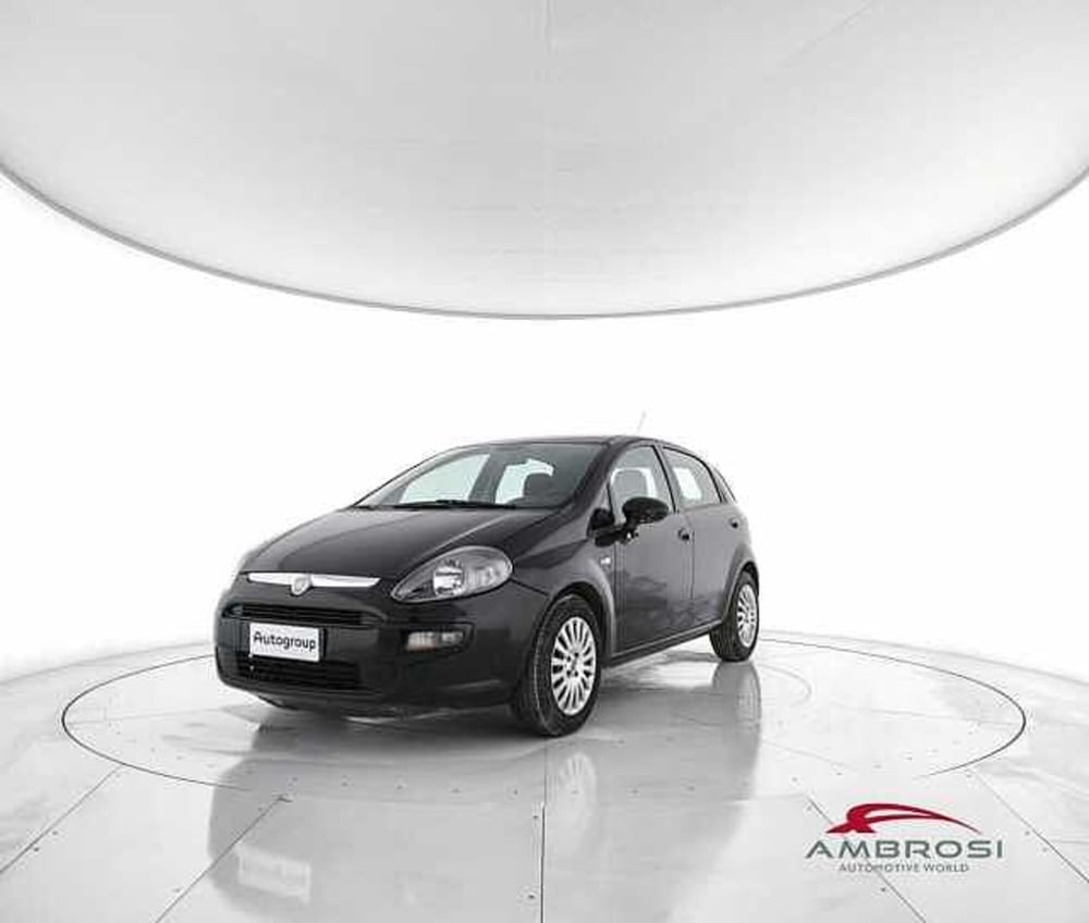Fiat Punto Evo usata a Viterbo