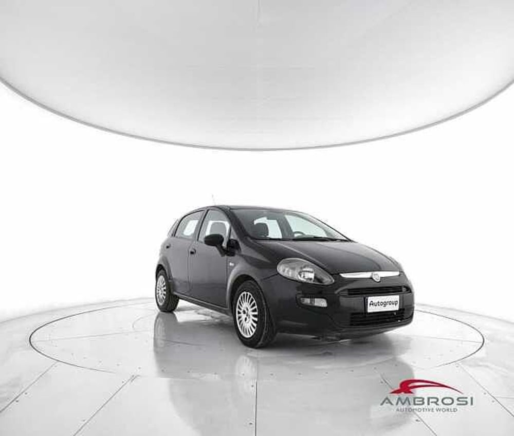 Fiat Punto Evo usata a Viterbo (2)