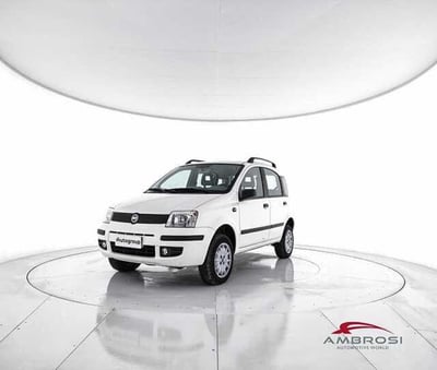 Fiat Panda 1.2 4x4 del 2006 usata a Viterbo