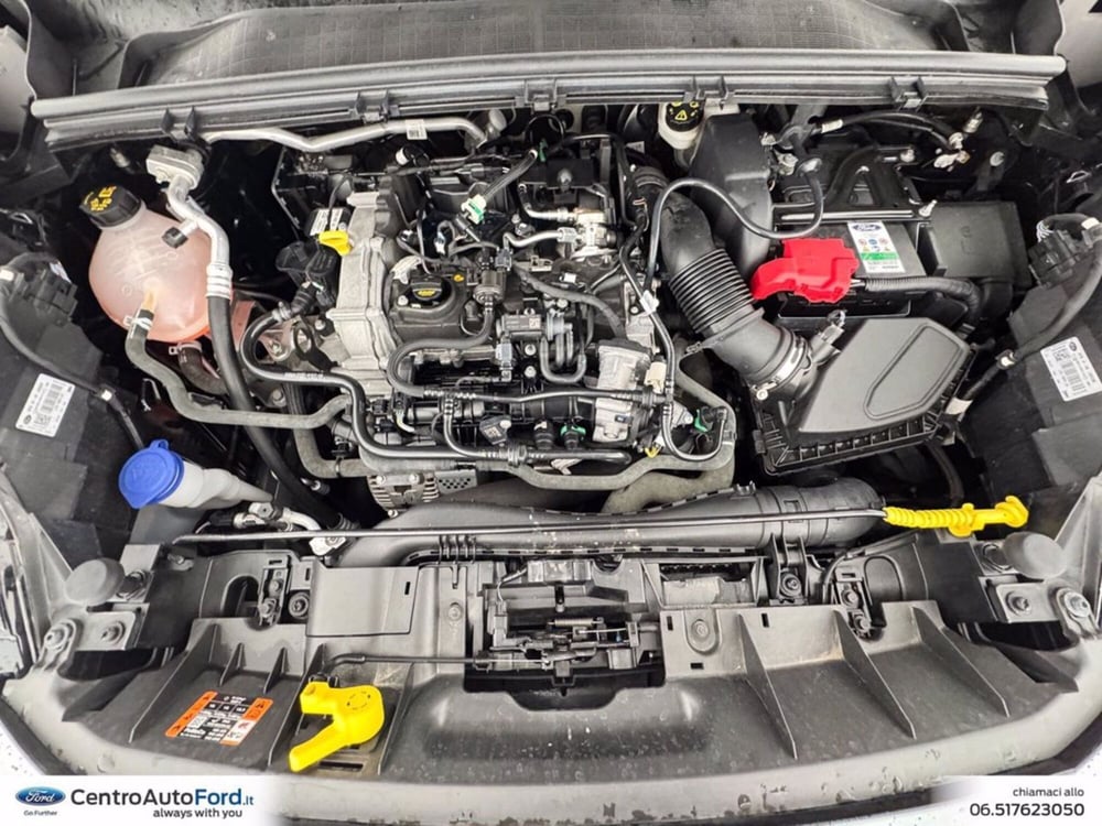 Ford Puma usata a Roma (12)
