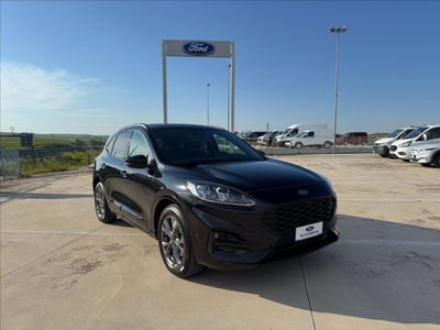 Ford Kuga 2.5 Plug In Hybrid 225 CV CVT 2WD ST-Line X Design del 2020 usata a Matera