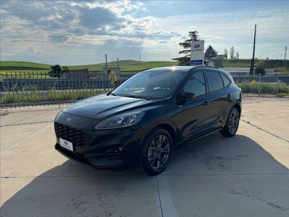 Ford Kuga usata a Matera (8)