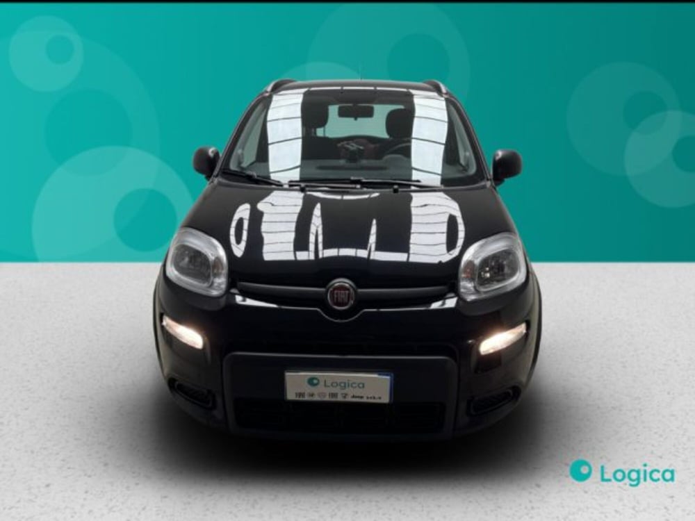 Fiat Panda usata a Biella (2)