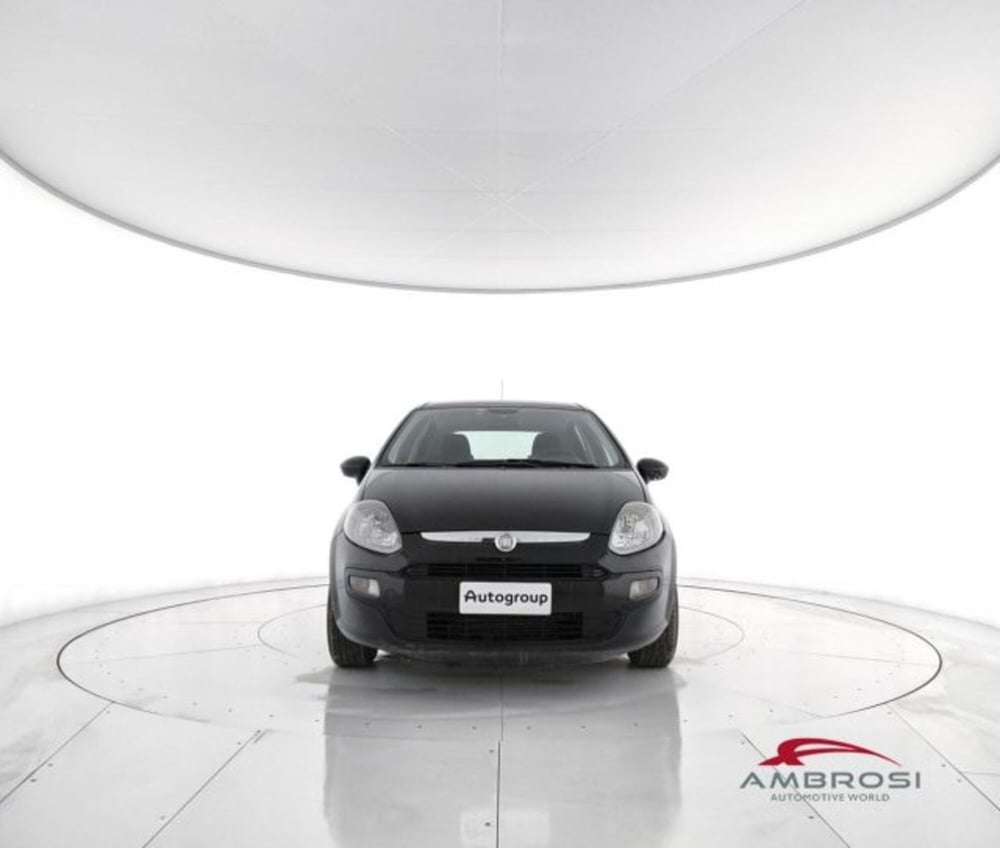 Fiat Punto Evo usata a Perugia (5)