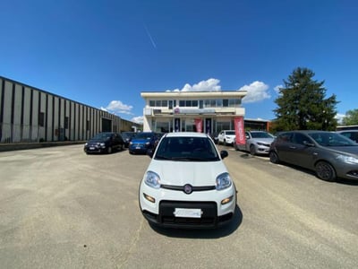 Fiat Panda 1.0 firefly hybrid s&amp;s 70cv 5p.ti del 2023 usata a Borgo San Lorenzo