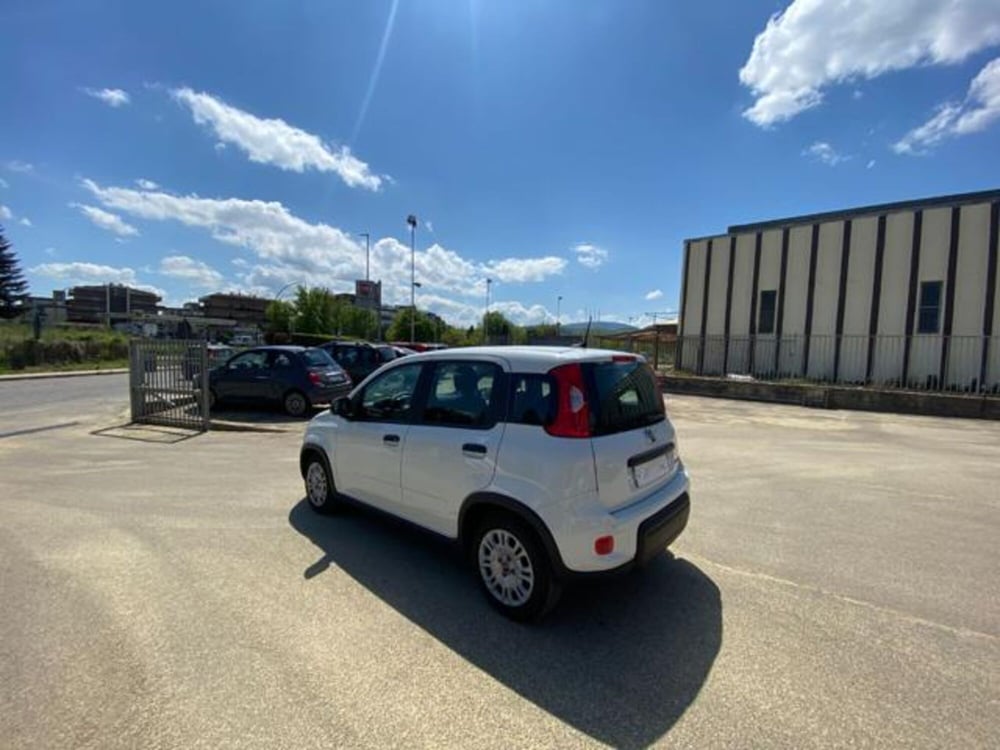 Fiat Panda usata a Firenze (15)