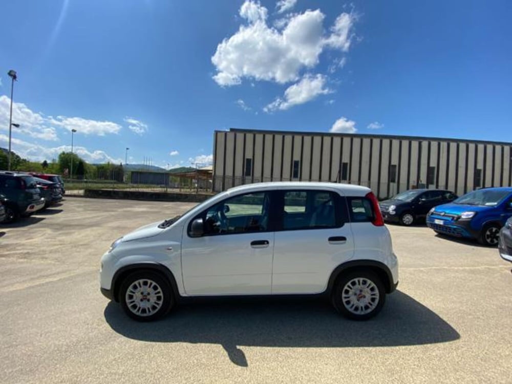 Fiat Panda usata a Firenze (16)