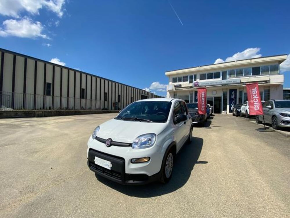 Fiat Panda usata a Firenze (17)
