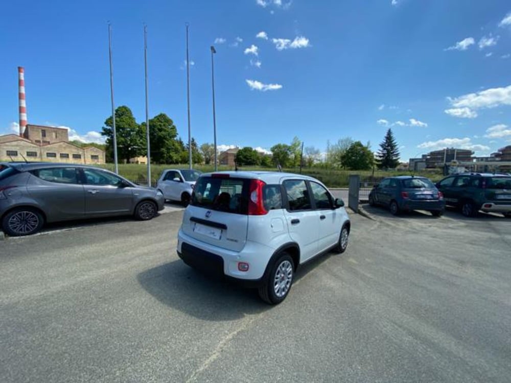 Fiat Panda usata a Firenze (19)
