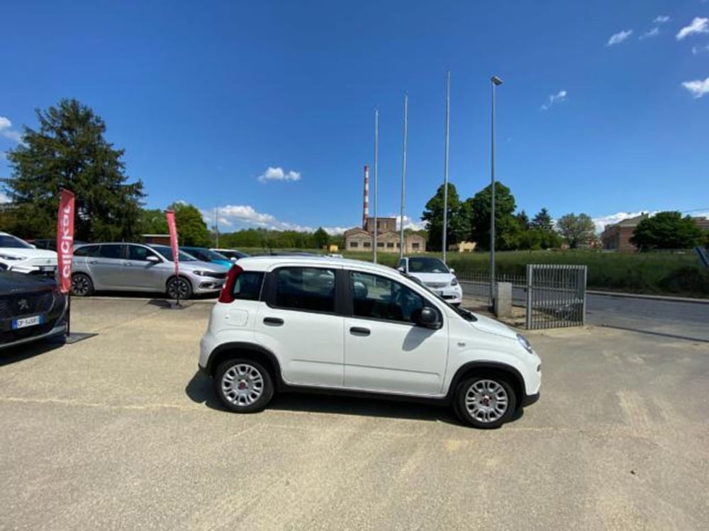 Fiat Panda usata a Firenze (2)